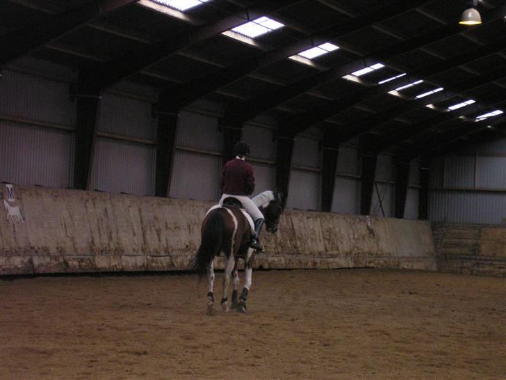 Min Familie og Vores Heste... billede 28