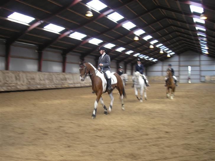 Min Familie og Vores Heste... billede 30