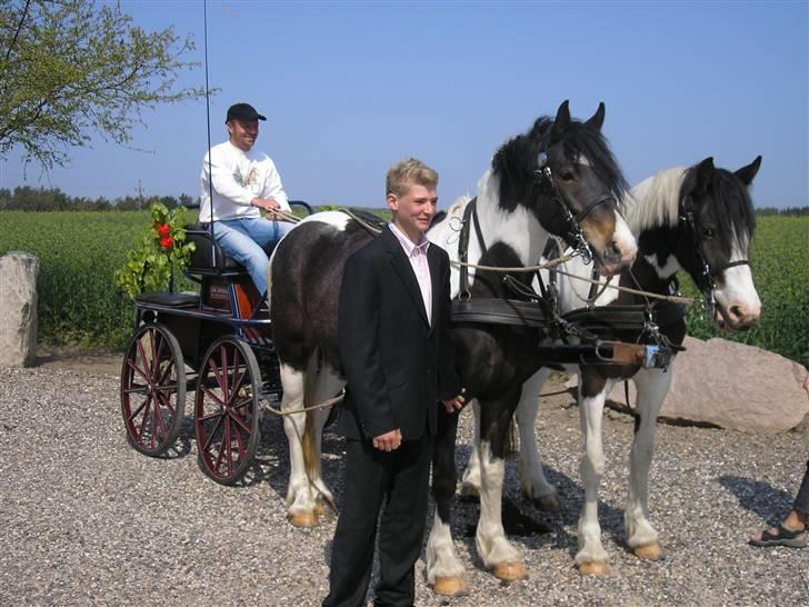 Min Familie og Vores Heste... - Det er Steen igen med han to egne hopper som henter min bror Lasse da han lige var kommet ud af kirken.. (komfi) billede 33