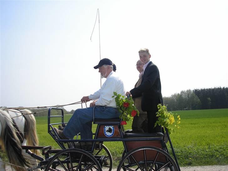 Min Familie og Vores Heste... billede 34
