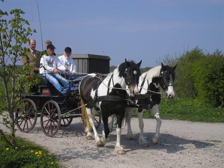 Min Familie og Vores Heste... billede 35