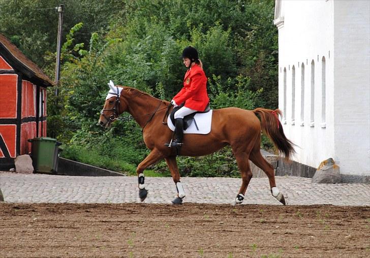 Hagenskov Godsjagt 2010 billede 1