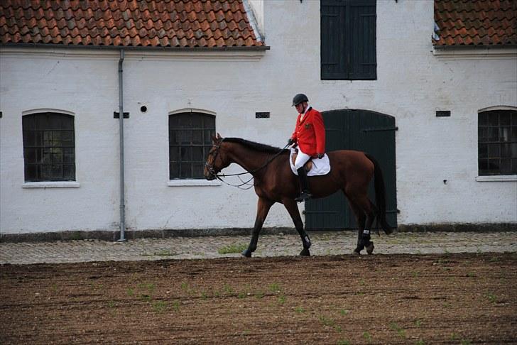 Hagenskov Godsjagt 2010 billede 2