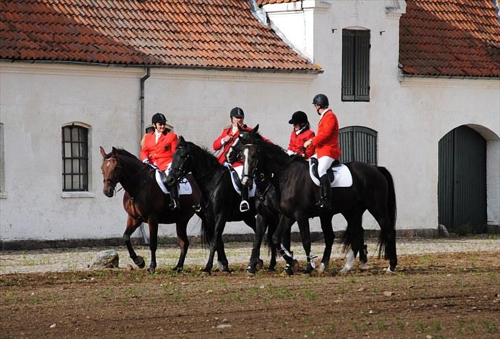 Hagenskov Godsjagt 2010 billede 3
