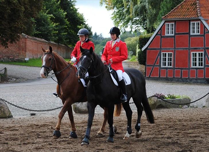 Hagenskov Godsjagt 2010 billede 9