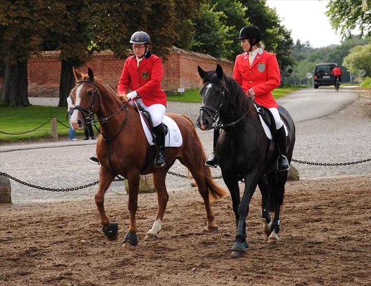 Hagenskov Godsjagt 2010 billede 10