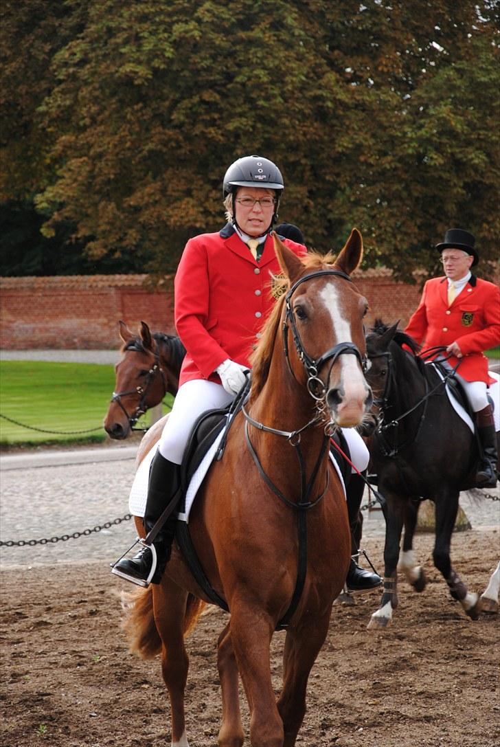 Hagenskov Godsjagt 2010 billede 11