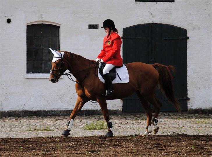 Hagenskov Godsjagt 2010 billede 15