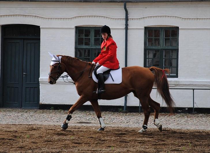 Hagenskov Godsjagt 2010 billede 16