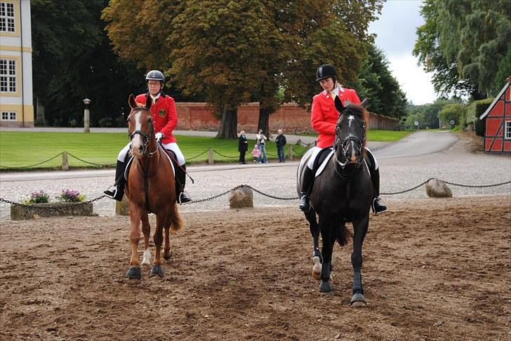 Hagenskov Godsjagt 2010 billede 18