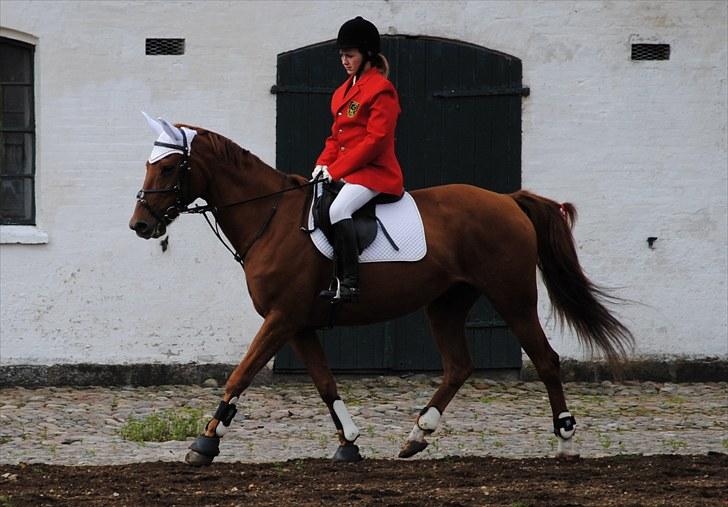 Hagenskov Godsjagt 2010 billede 21