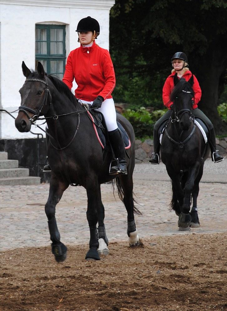 Hagenskov Godsjagt 2010 billede 24