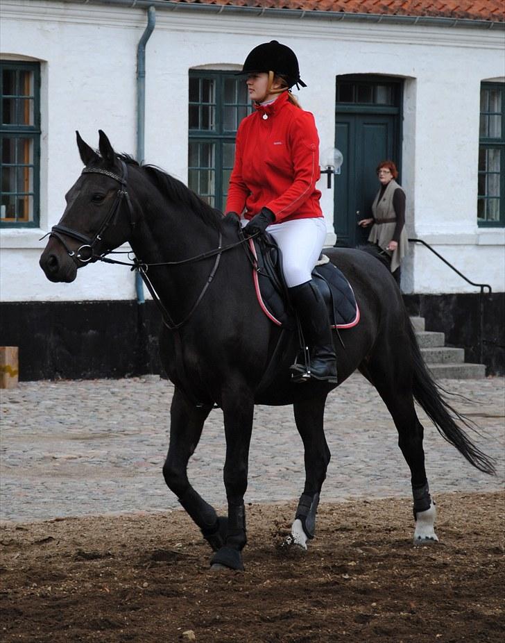 Hagenskov Godsjagt 2010 billede 25