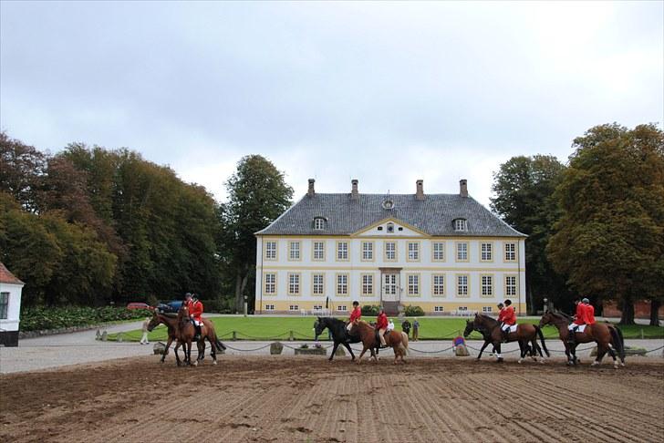 Hagenskov Godsjagt 2010 billede 28