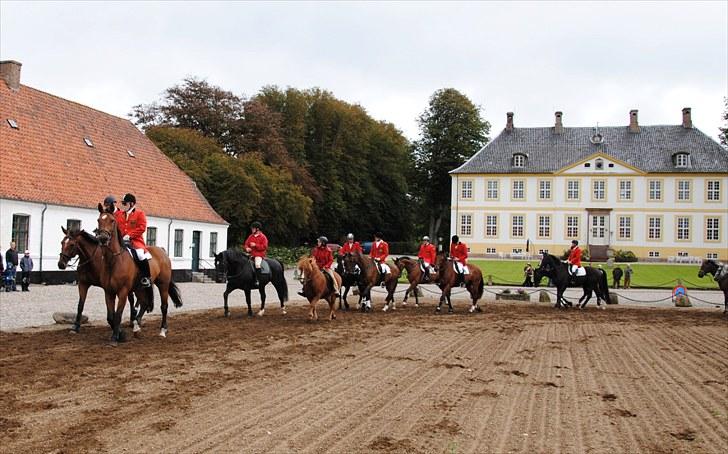 Hagenskov Godsjagt 2010 billede 30
