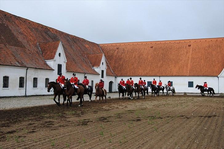 Hagenskov Godsjagt 2010 billede 32
