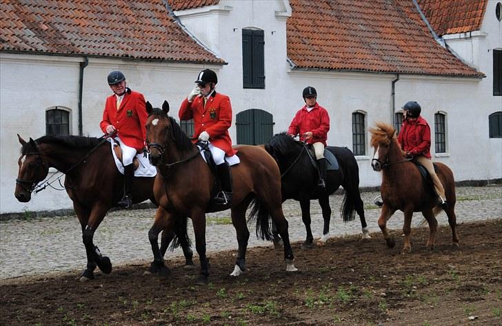 Hagenskov Godsjagt 2010 billede 33