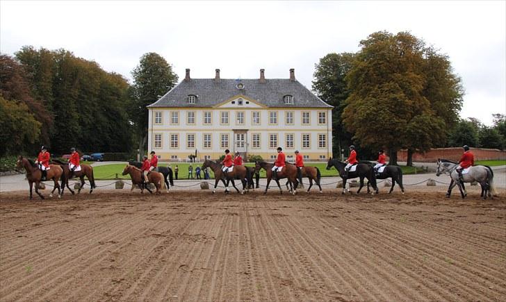 Hagenskov Godsjagt 2010 billede 35
