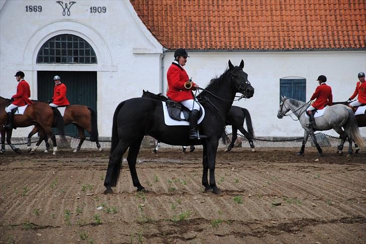 Hagenskov Godsjagt 2010 billede 36