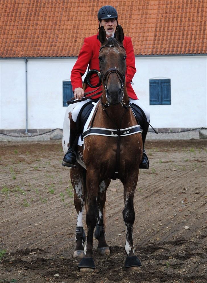 Hagenskov Godsjagt 2010 billede 38