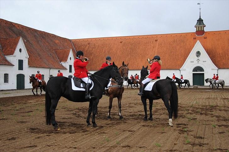 Hagenskov Godsjagt 2010 billede 39