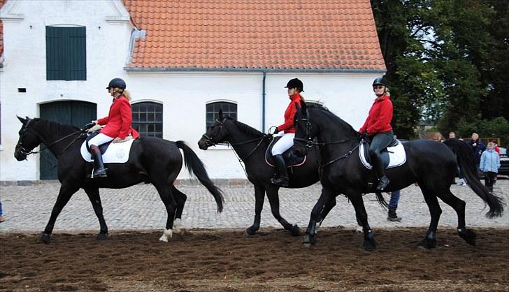 Hagenskov Godsjagt 2010 billede 40