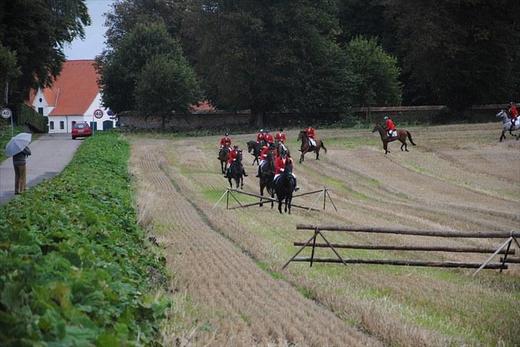 Hagenskov Godsjagt 2010 billede 47