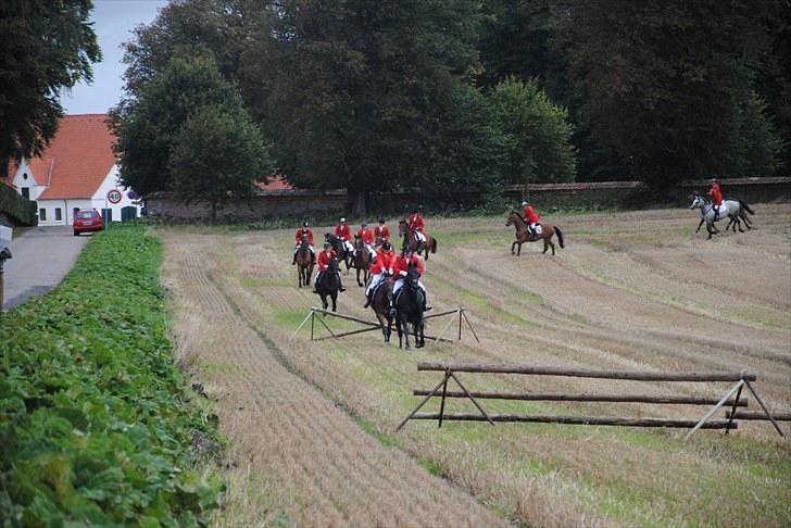 Hagenskov Godsjagt 2010 billede 48