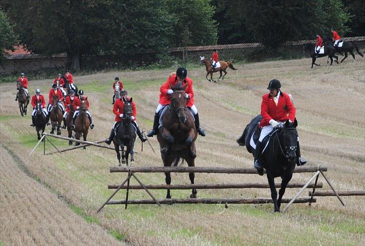 Hagenskov Godsjagt 2010 billede 49