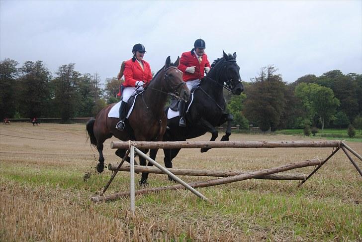 Hagenskov Godsjagt 2010 billede 50