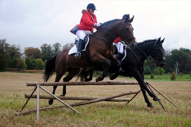 Hagenskov Godsjagt 2010 billede 51