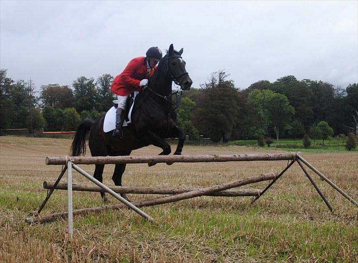 Hagenskov Godsjagt 2010 billede 52