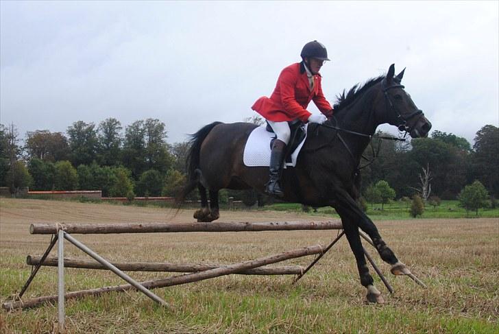 Hagenskov Godsjagt 2010 billede 53