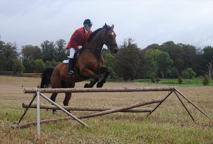 Hagenskov Godsjagt 2010 billede 54