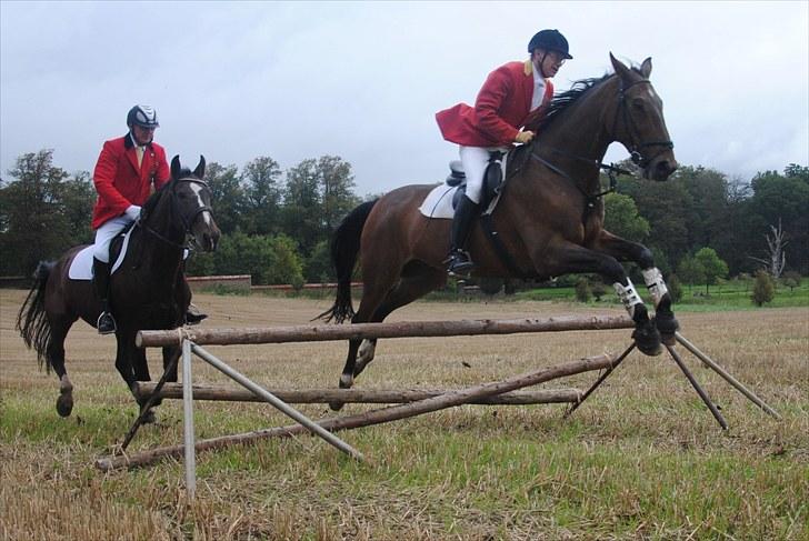 Hagenskov Godsjagt 2010 billede 56