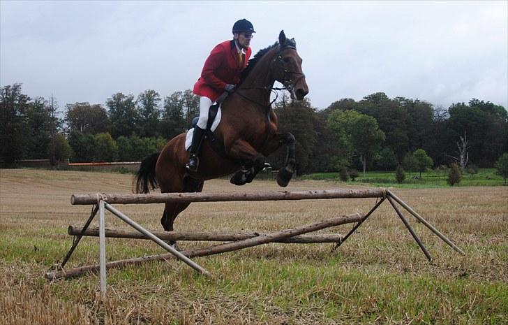 Hagenskov Godsjagt 2010 billede 57