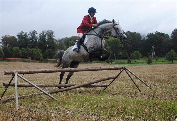 Hagenskov Godsjagt 2010 billede 59