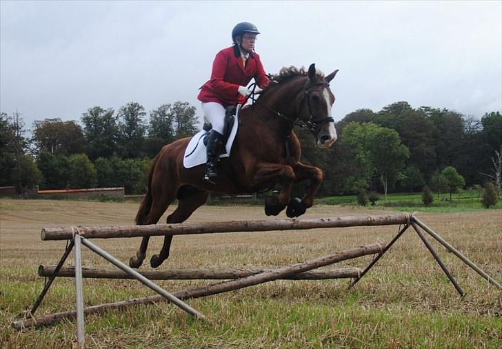 Hagenskov Godsjagt 2010 billede 61