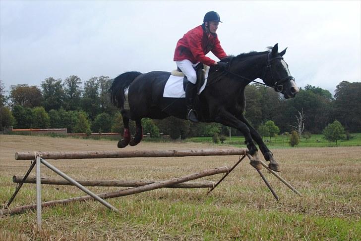 Hagenskov Godsjagt 2010 billede 62