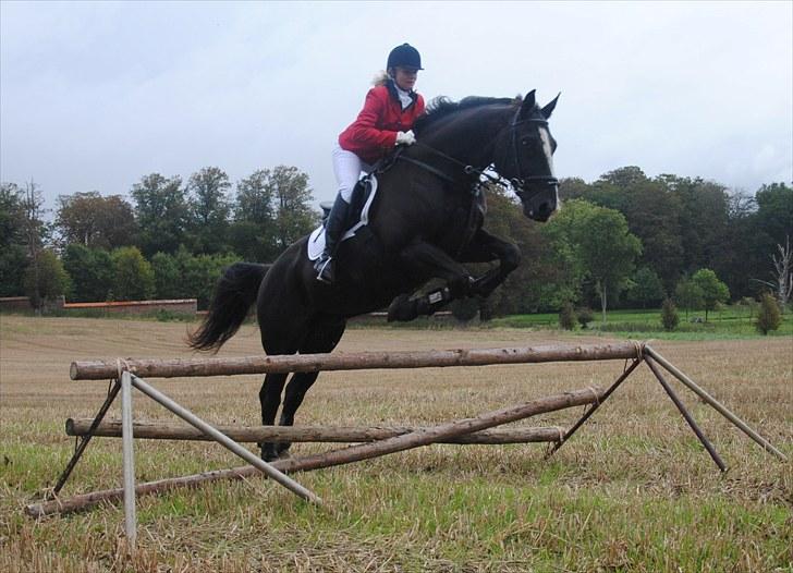 Hagenskov Godsjagt 2010 billede 64