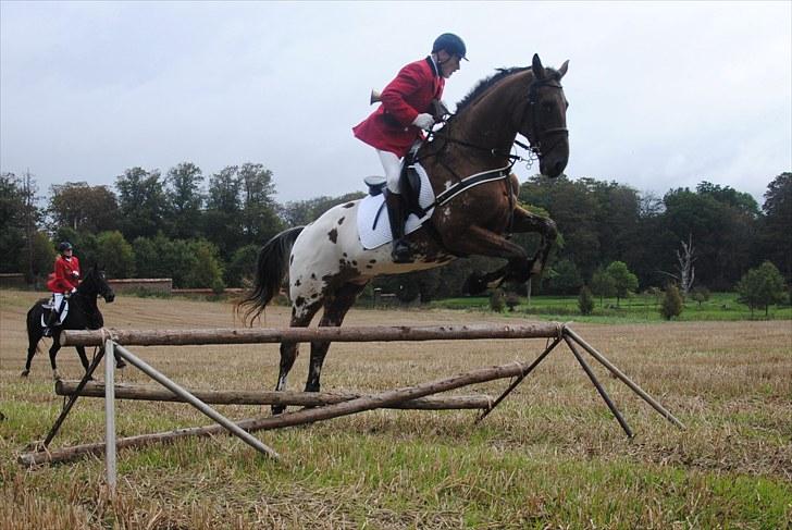Hagenskov Godsjagt 2010 billede 65