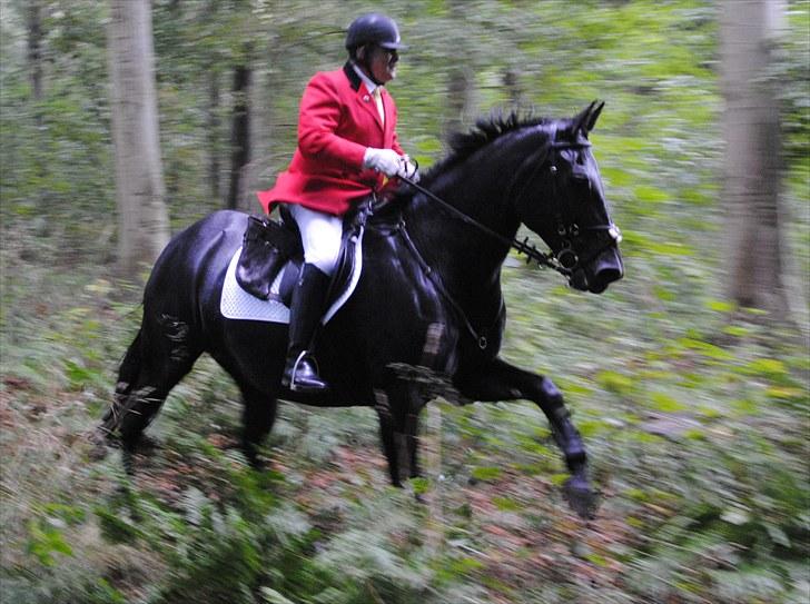 Hagenskov Godsjagt 2010 billede 66