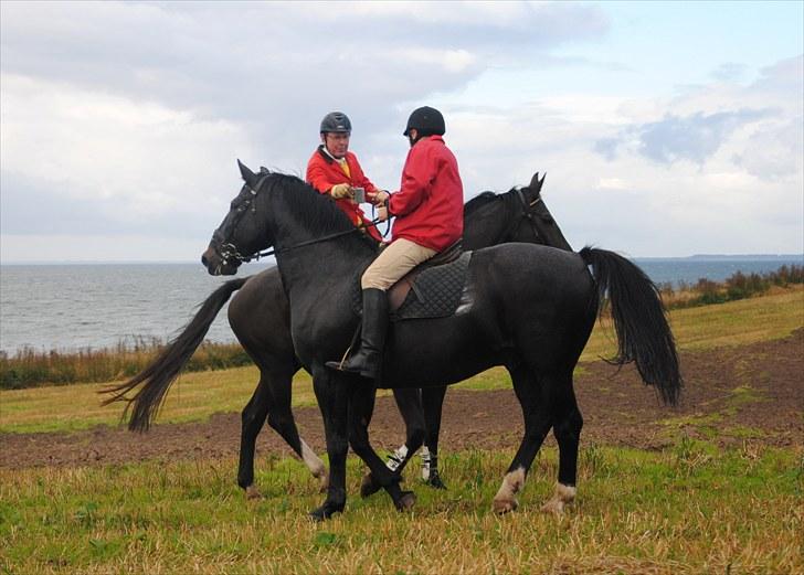 Hagenskov Godsjagt 2010 billede 67