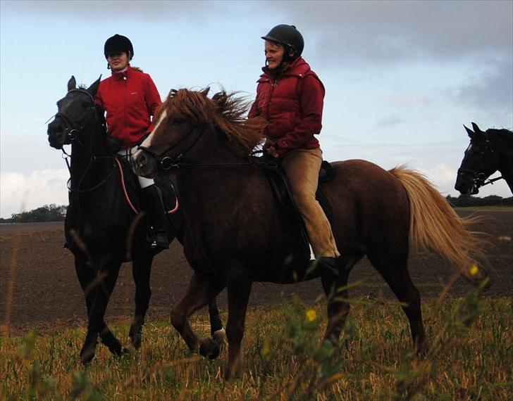 Hagenskov Godsjagt 2010 billede 68