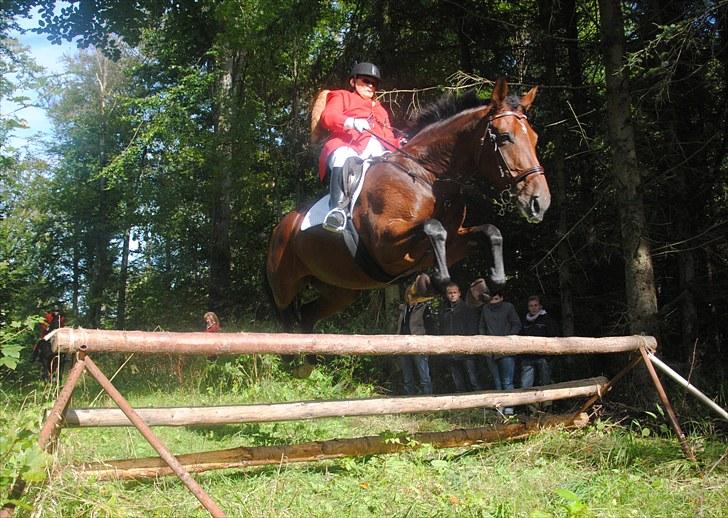 Hagenskov Godsjagt 2010 billede 73