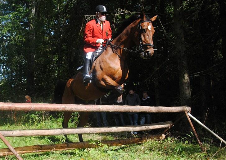 Hagenskov Godsjagt 2010 billede 74