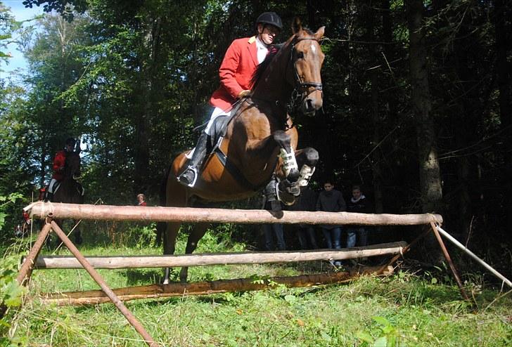 Hagenskov Godsjagt 2010 billede 75