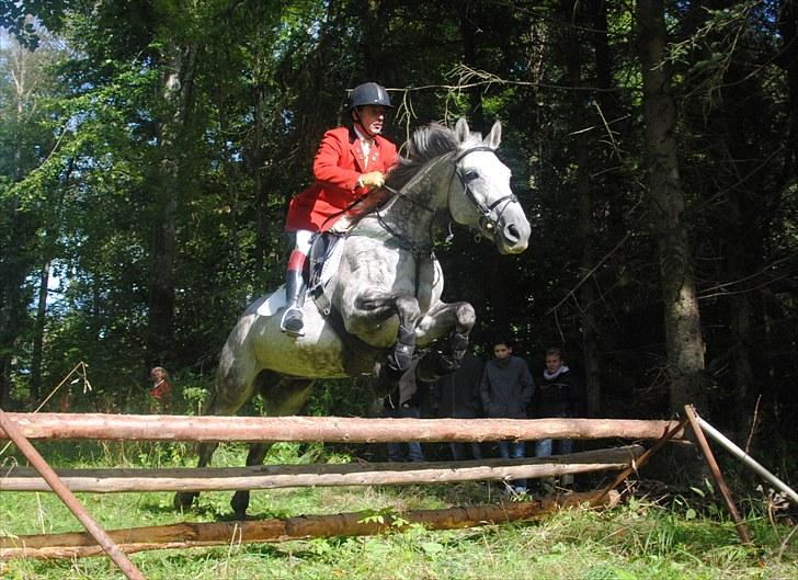 Hagenskov Godsjagt 2010 billede 77