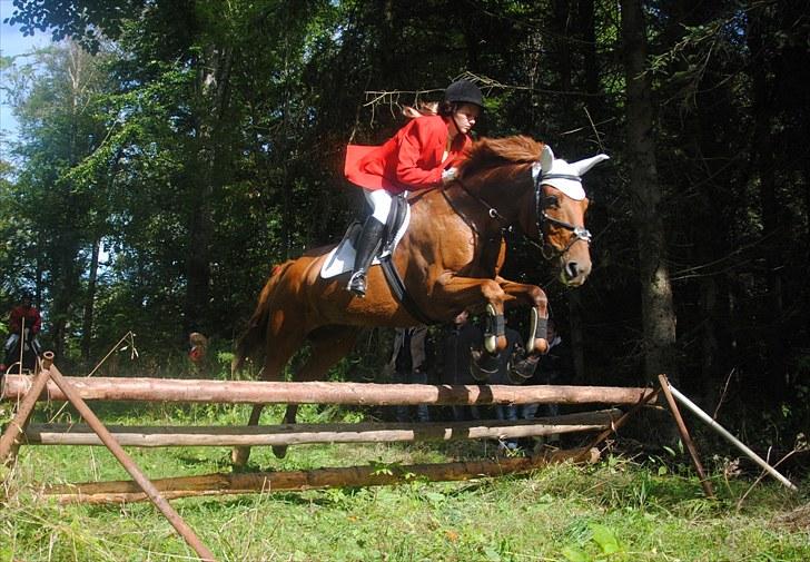 Hagenskov Godsjagt 2010 billede 78