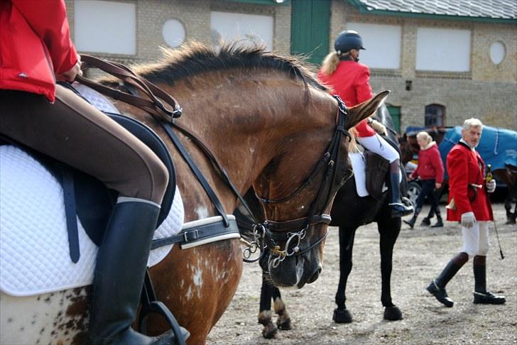 Hagenskov Godsjagt 2010 billede 80